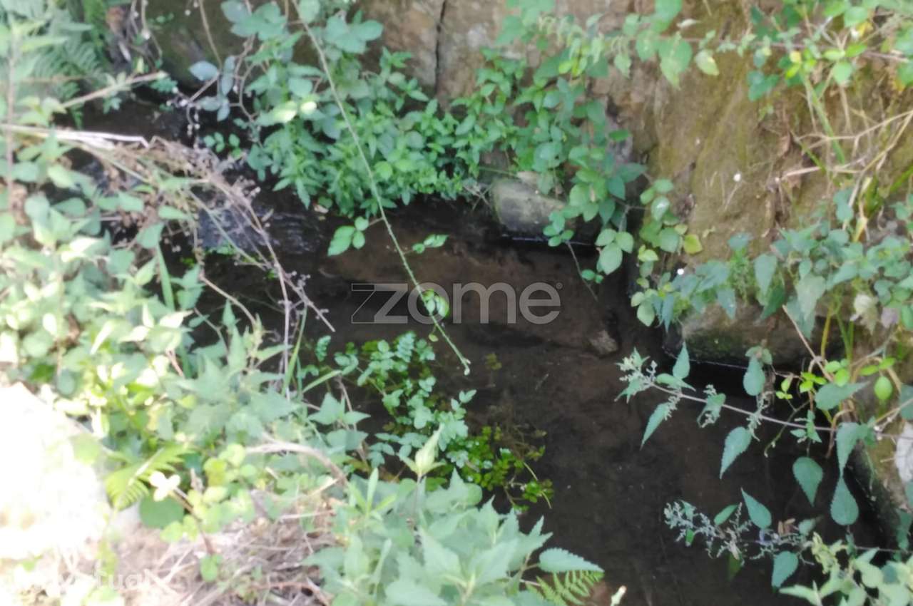 Terreno 1383m2 em Sameice e Santa Eulália - Seia - Grande imagem: 5/18