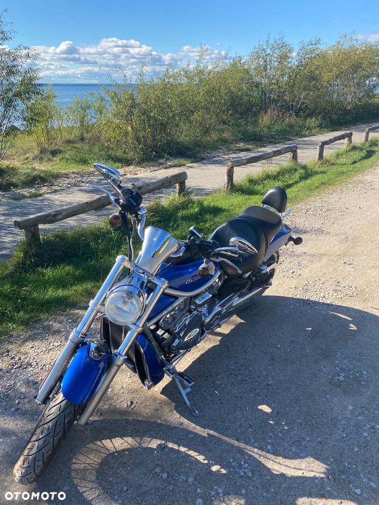 Harley-Davidson Softail V-Rod - 3