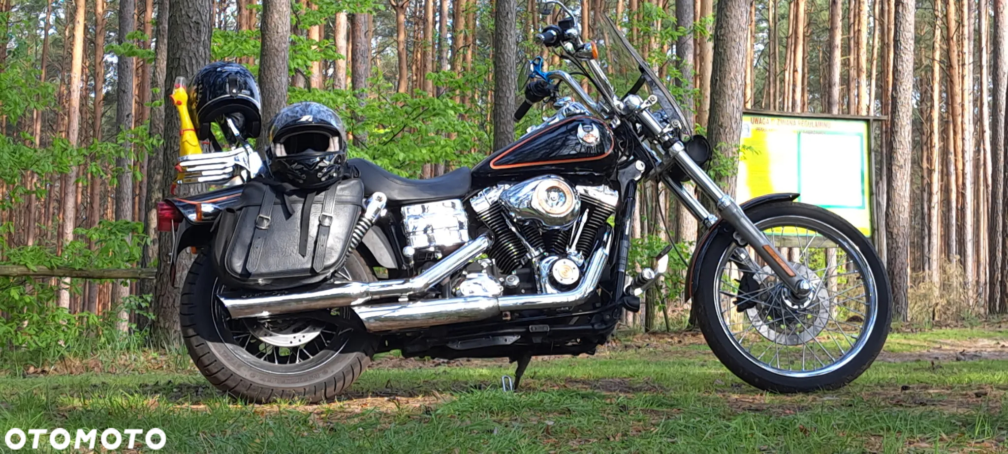 Harley-Davidson Dyna Wide Glide - 2