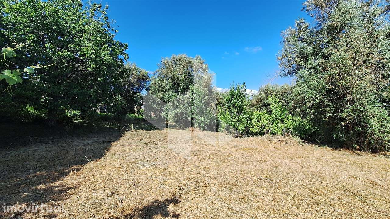 Terreno Para Construção  Venda em Molelos,Tondela - Grande imagem: 3/10