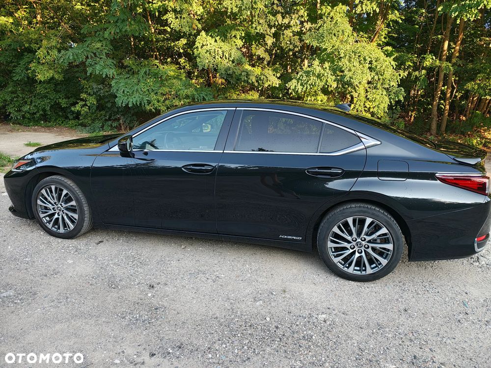 Lexus ES 300h Business Edition + - 7