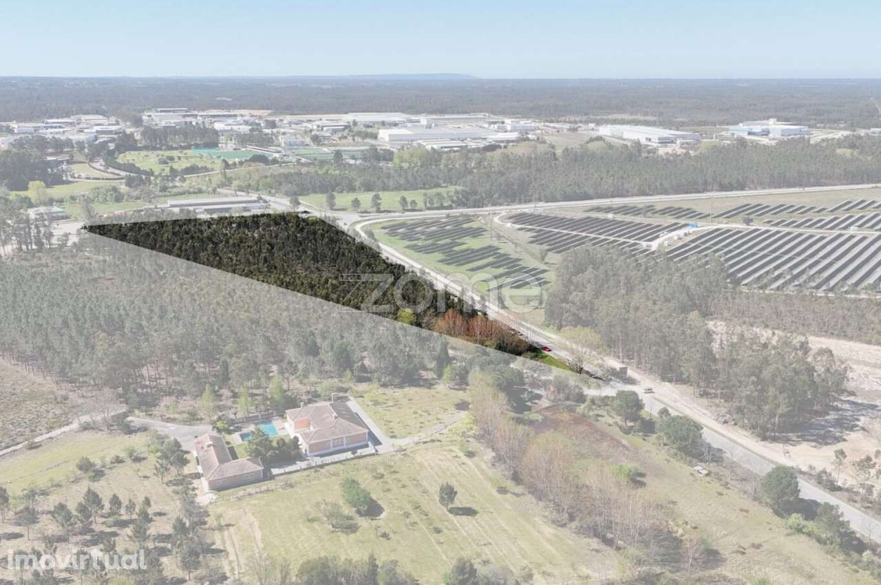 Oportunidade em Cantanhede: 3 Hectares de Potencial Ilimitado! - Grande imagem: 2/15