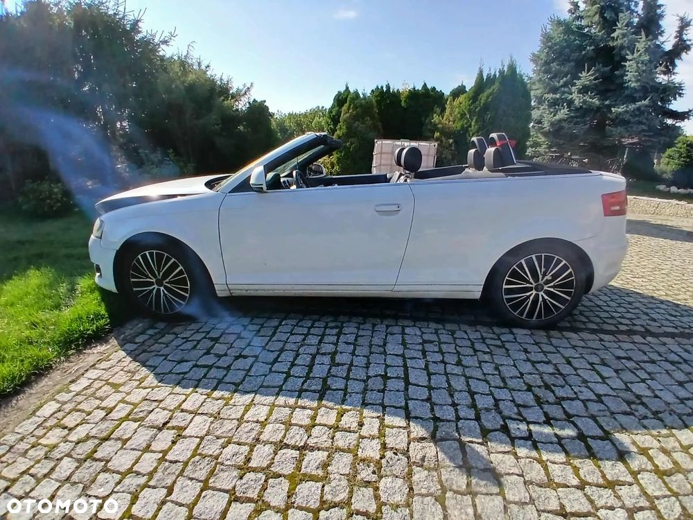 Audi A3 1.9 TDI Ambiente - 2