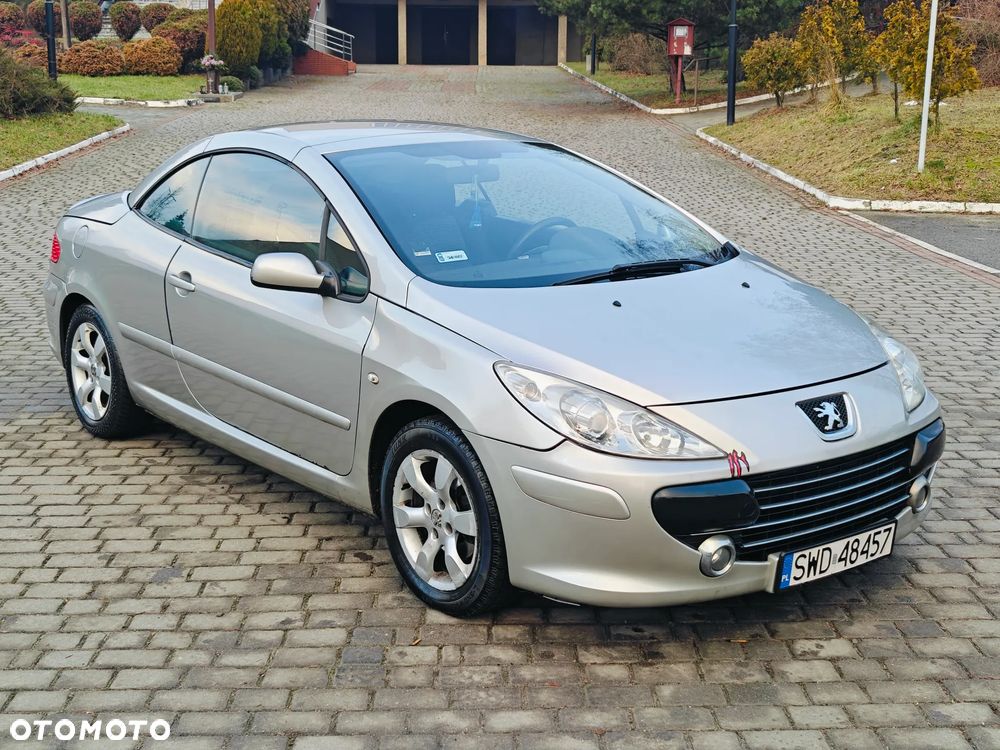 Peugeot 307 CC 110 JBL - 19