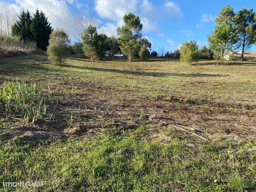 Terreno com 12.500 m2 com capacidade construtiva - Grande imagem: 5/6