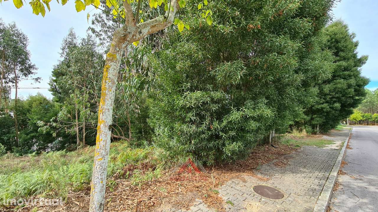 Terreno Para Construção / Habitação - Grande imagem: 4/24