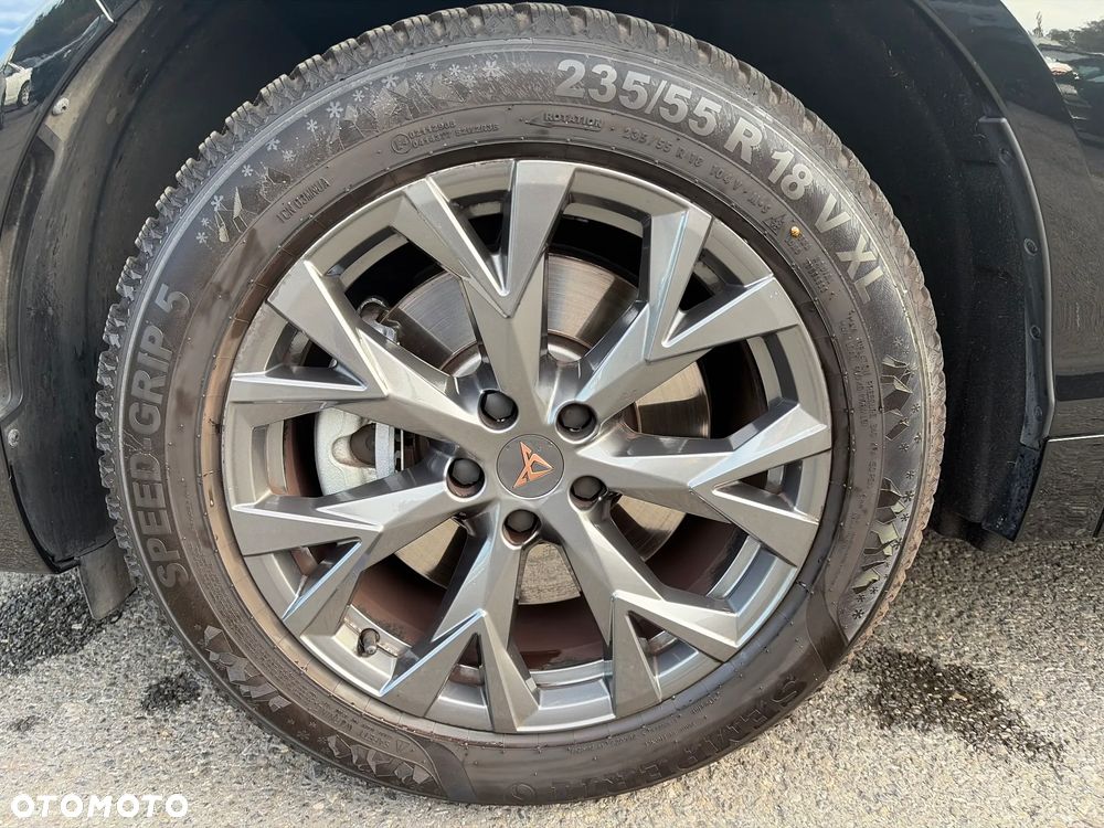 Cupra Terramar 2.0 TSI 4Drive DSG - 27