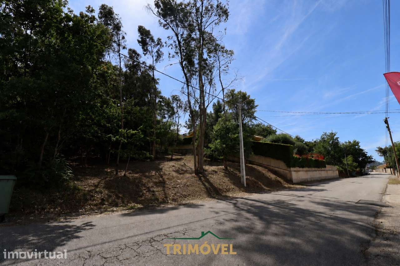 Terreno Rústico  Venda em São Roque,Oliveira de Azeméis - Grande imagem: 4/4