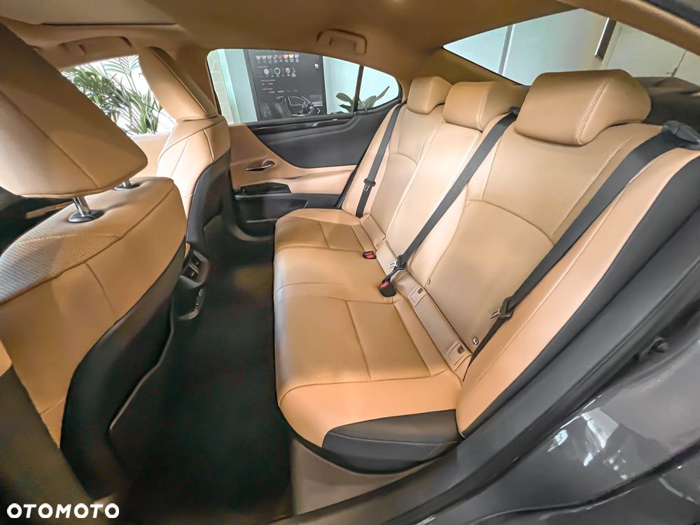 Lexus ES ver-300h-business-edition - 15
