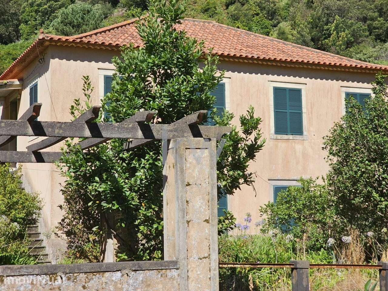 Moradia em S. Vicente | 3825m2 - Grande imagem: 2/33