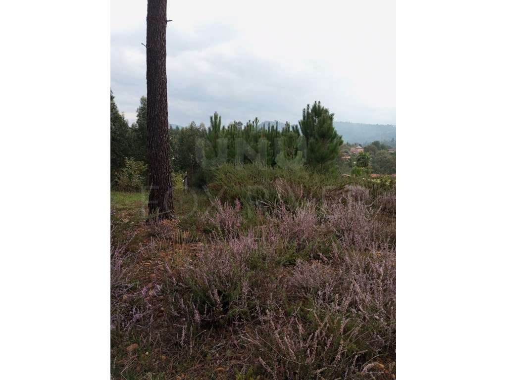 Terreno para construção Bela, Monção - Grande imagem: 4/10