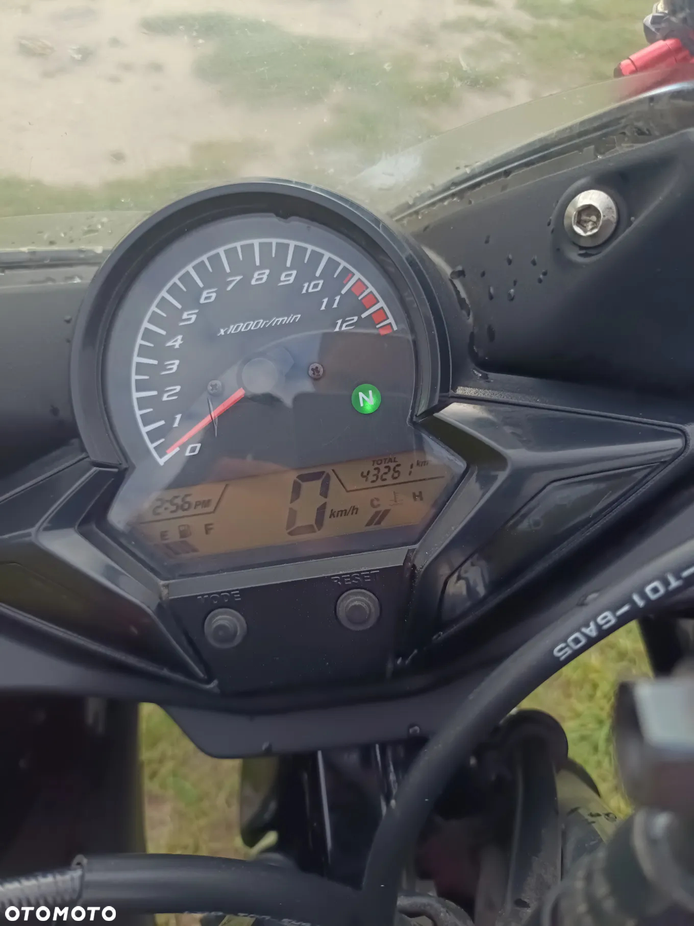 Honda CBR - 6