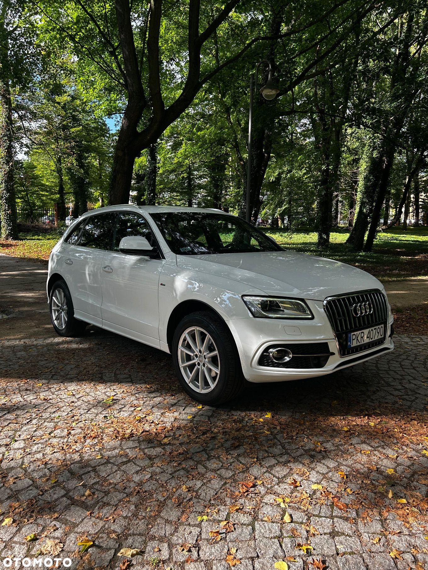 Audi Q5 - 1