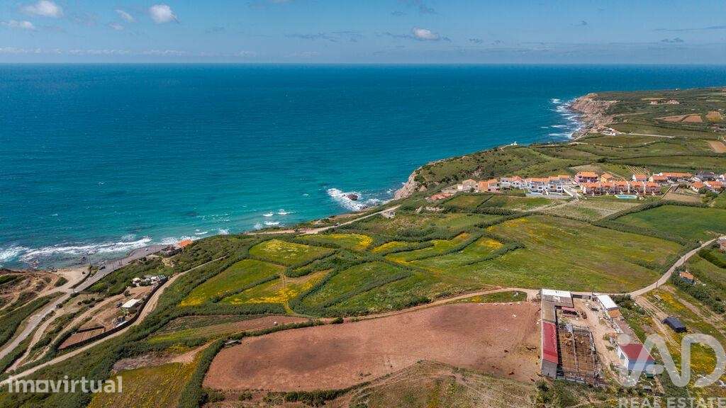 Terreno Agrícola em São Pedro da Cadeira - Grande imagem: 3/27