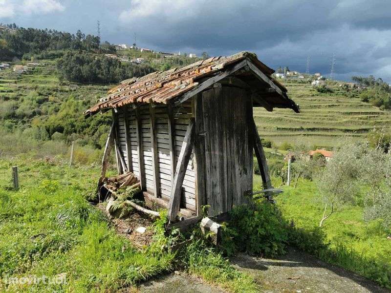 Quinta no Douro a 50min do Porto - Plano, tranquilo-Varias construçoes - Grande imagem: 4/12
