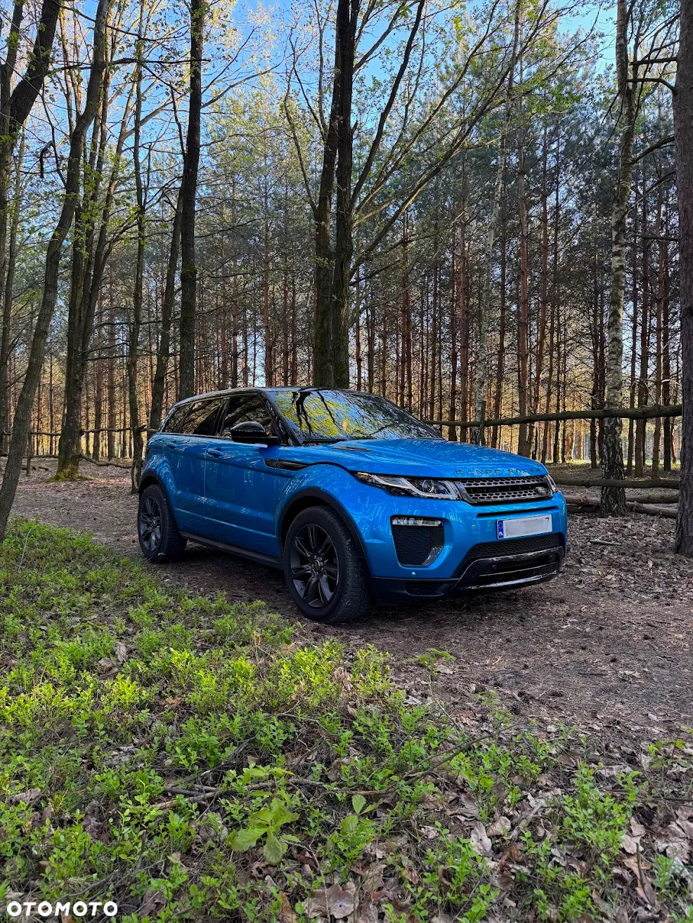 Land Rover Range Rover Evoque 2.0TD4 SE Dynamic Special Edition - 3