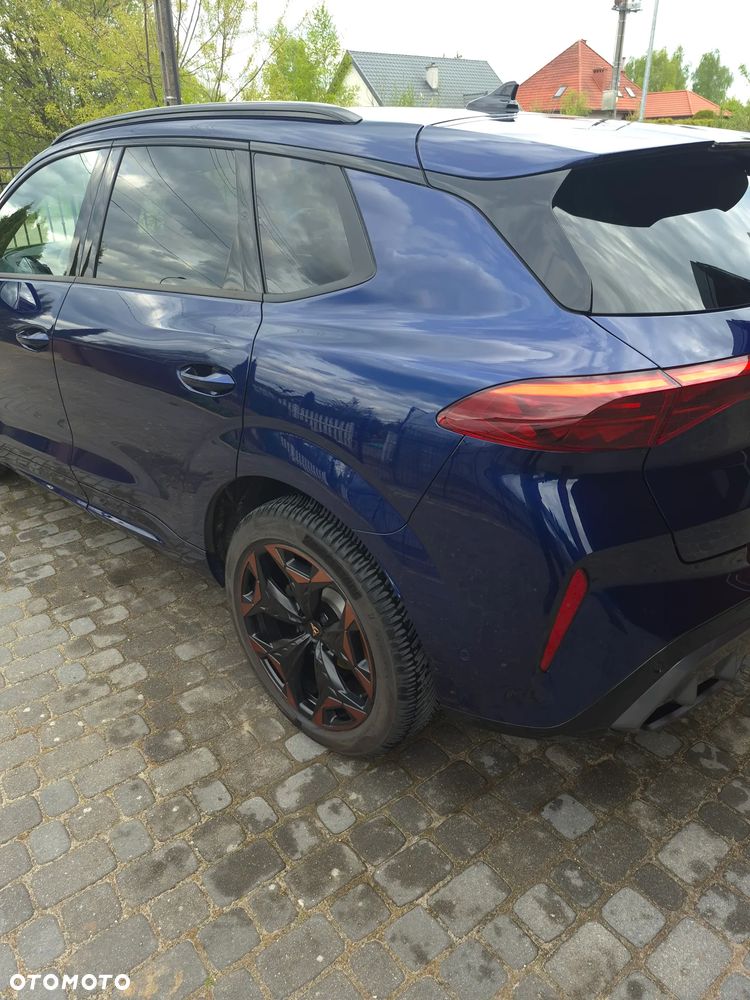 Cupra Terramar - 4