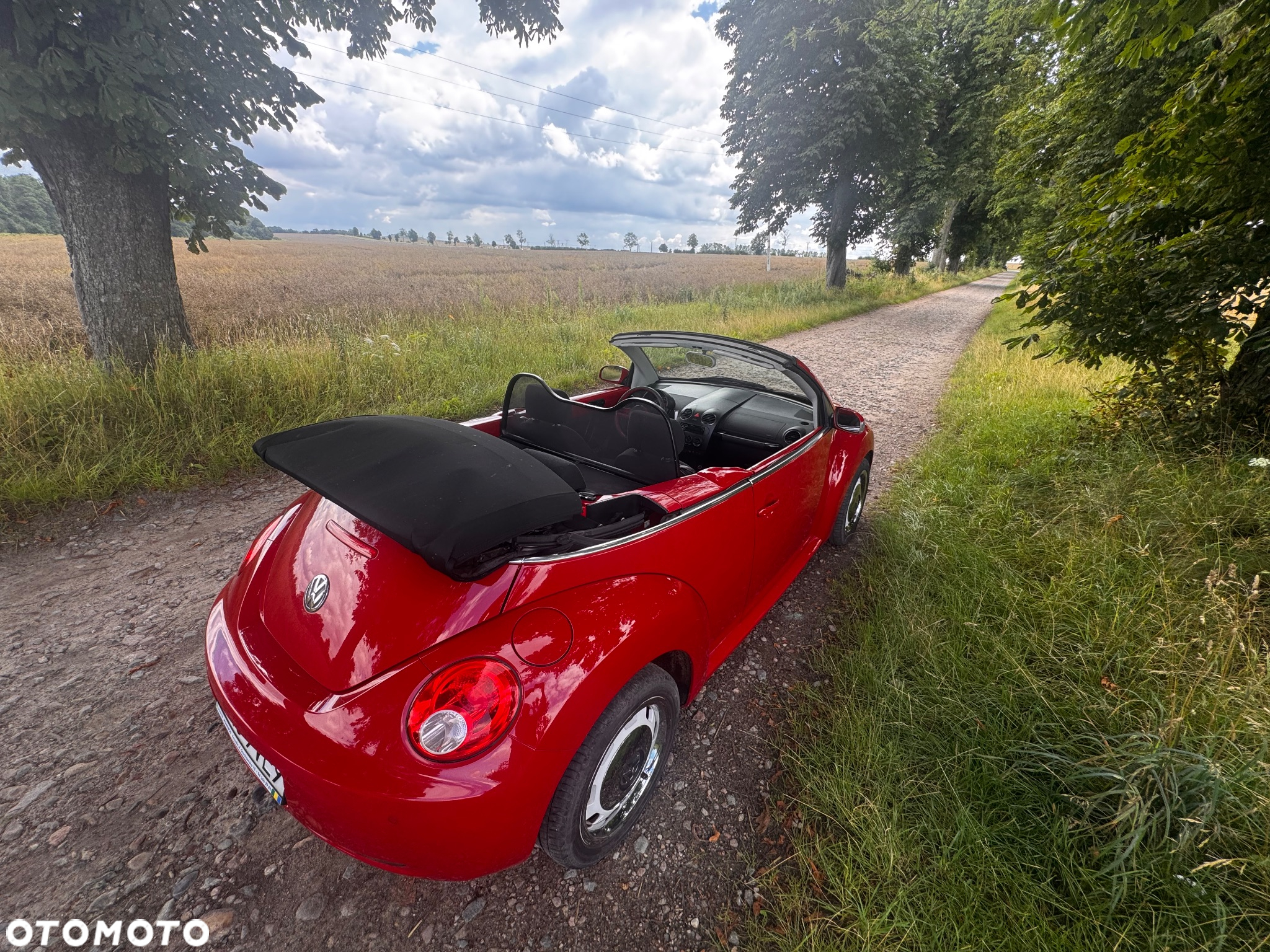 Volkswagen New Beetle 2.0 - 17