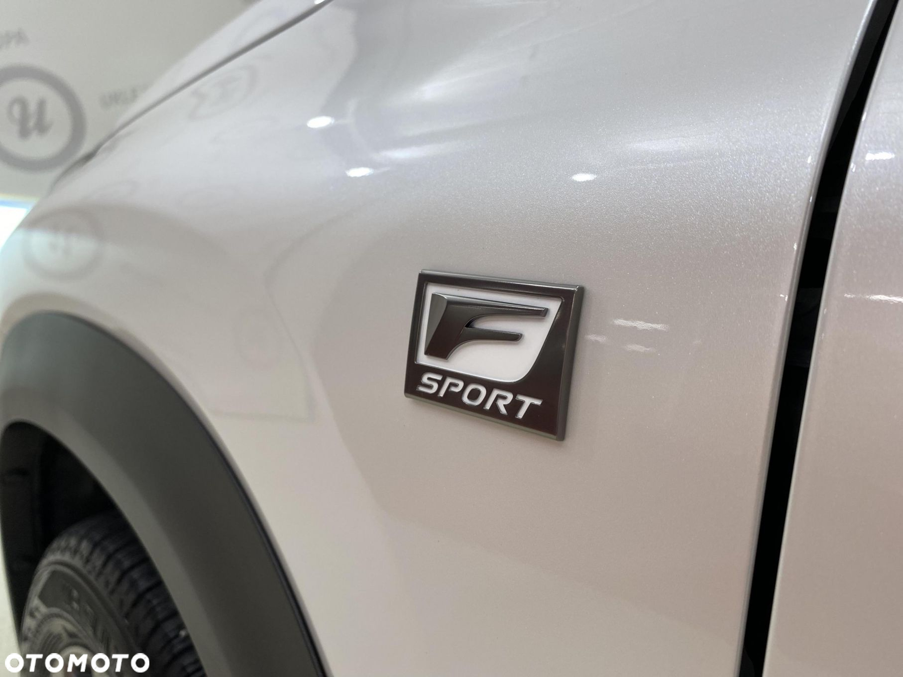 Lexus NX 300h F Sport Edition AWD - 16