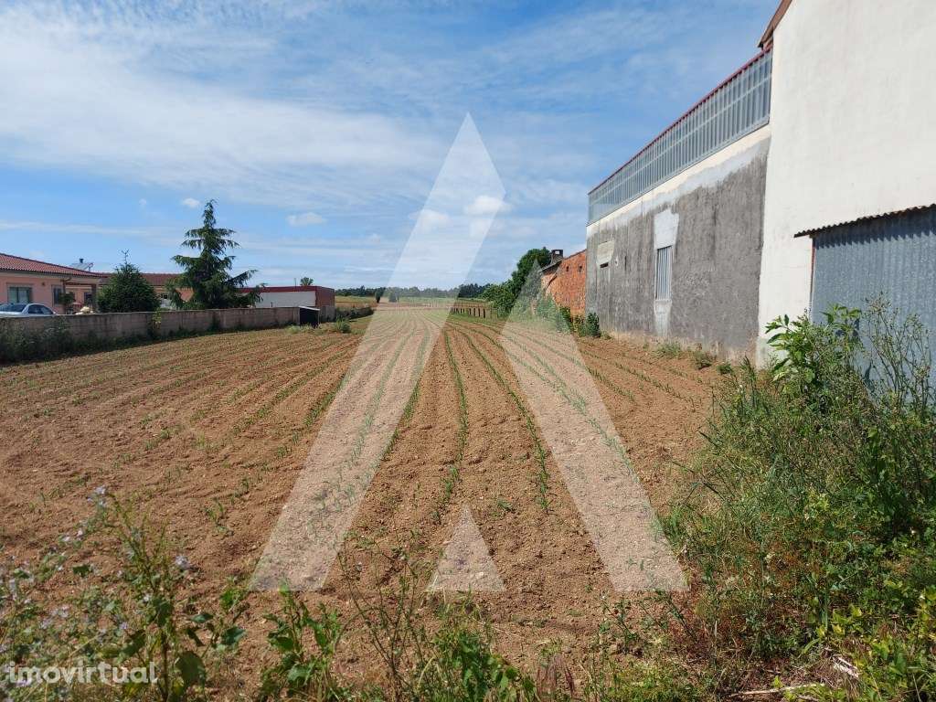 Terreno para Venda em Soutelo - Grande imagem: 4/17