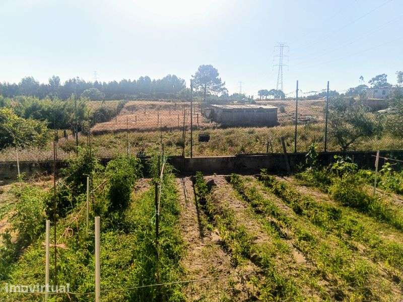 Quinta com 12000 m2 na Quinta do Anjo - venda a pronto pagamento - Grande imagem: 5/8