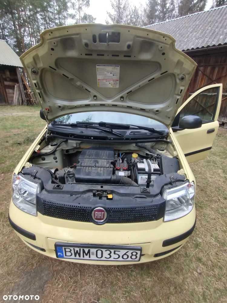 Fiat Panda 1.2 Fresh Eco - 6