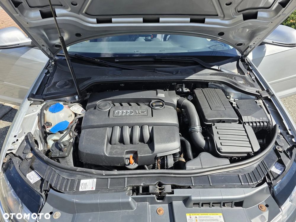 Audi A3 3-drzwiowe 1.6 Ambiente - 2