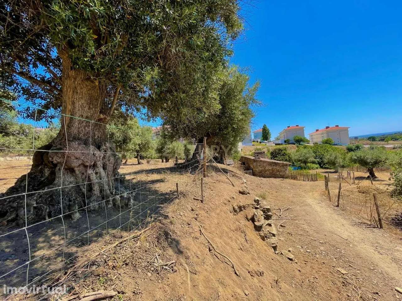 Terreno Misto | Portalegre - Grande imagem: 5/20