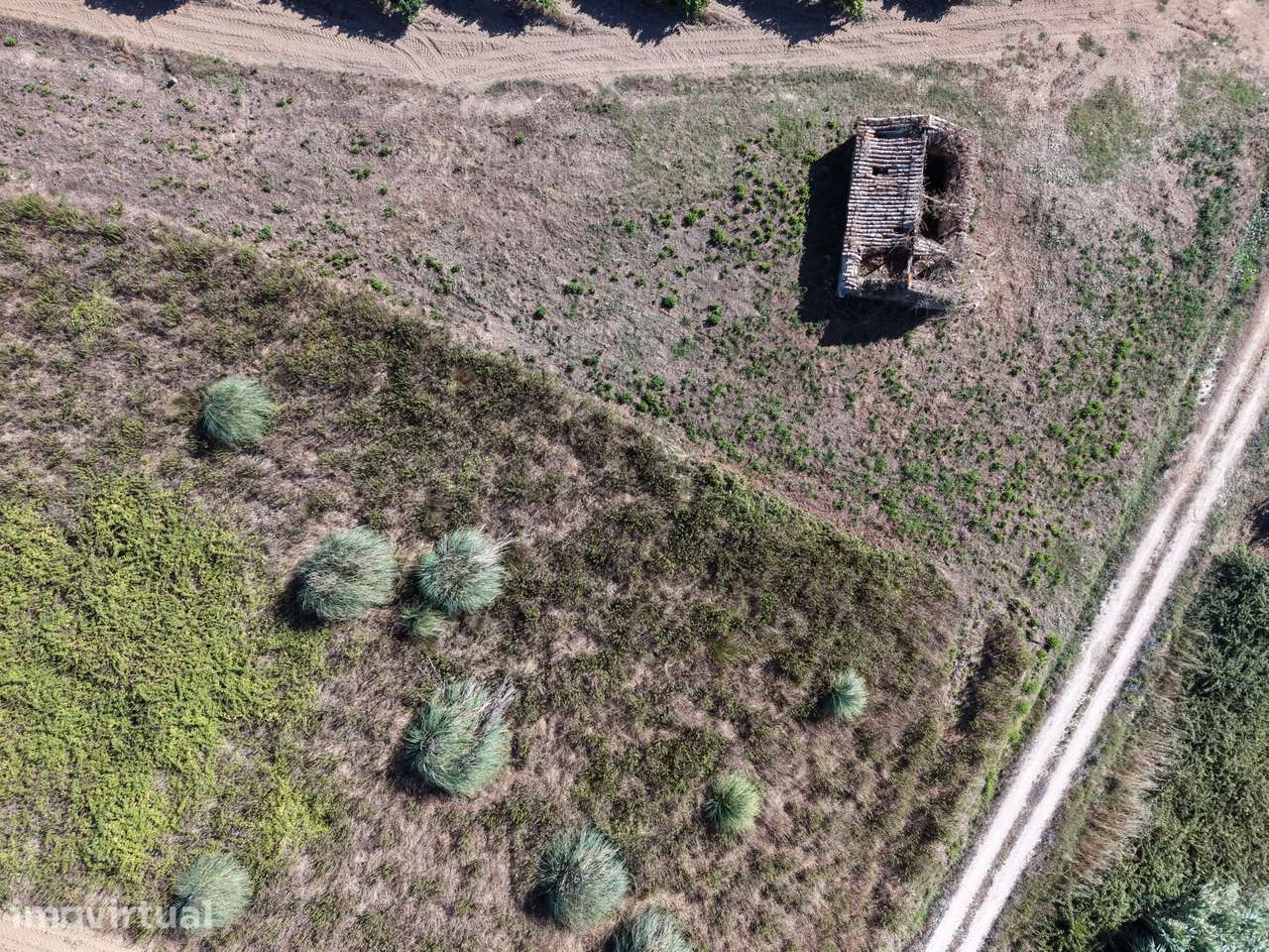 Terreno rustico em Carvoeira, torres vedras - Grande imagem: 2/11