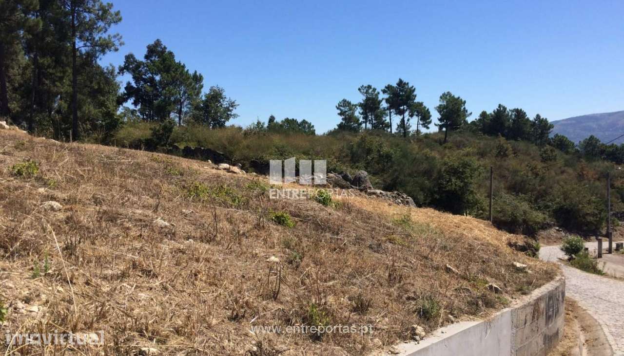 Venda Terreno, Valadares, Baião - Grande imagem: 5/29