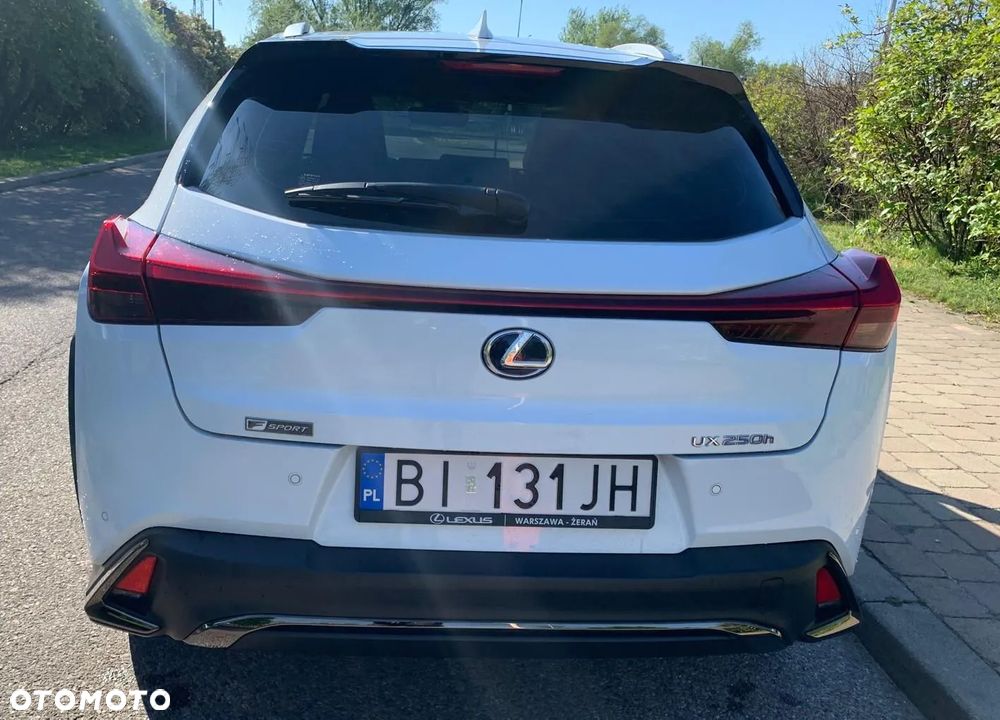 Lexus UX 250h F Sport AWD - 7