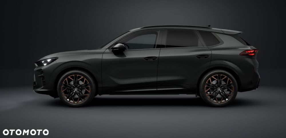 Cupra Terramar - 4