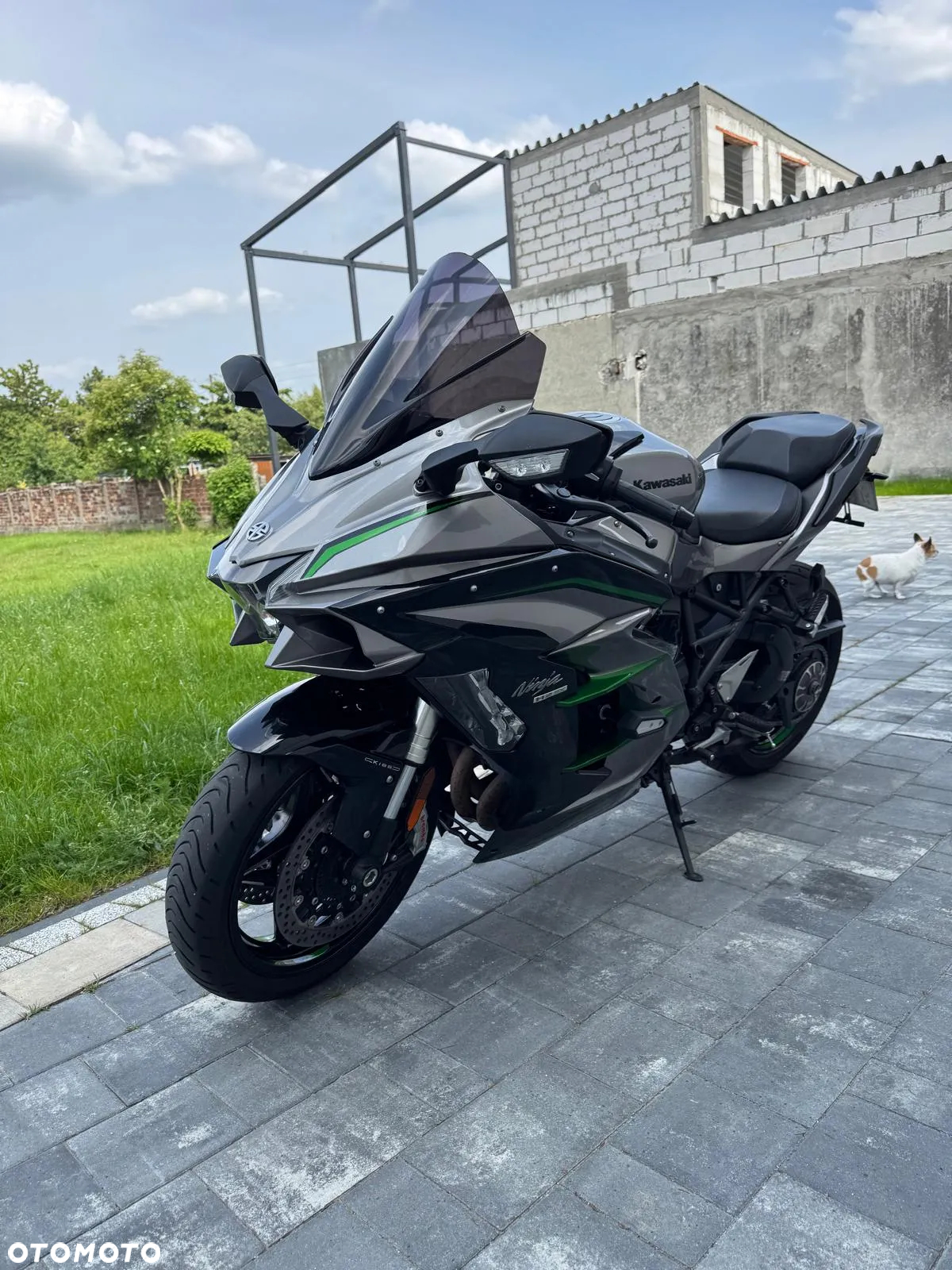 Kawasaki Ninja H2 SX - 2