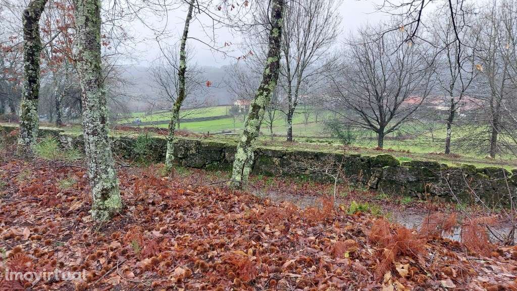 Terreno rústico - Agra, Rossas - Grande imagem: 2/9