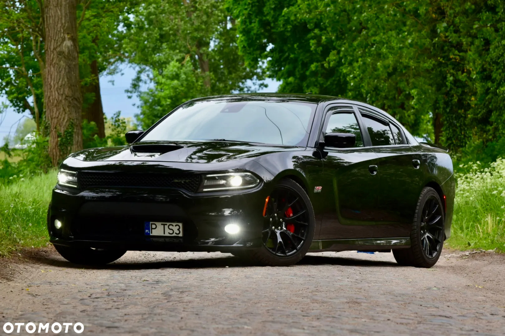 Dodge Charger Automatik SRT 392 - 5