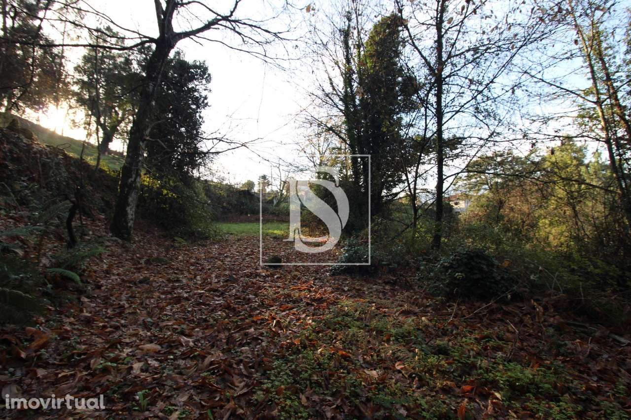 Terreno  Venda em Rebordelo,Amarante - Grande imagem: 3/4