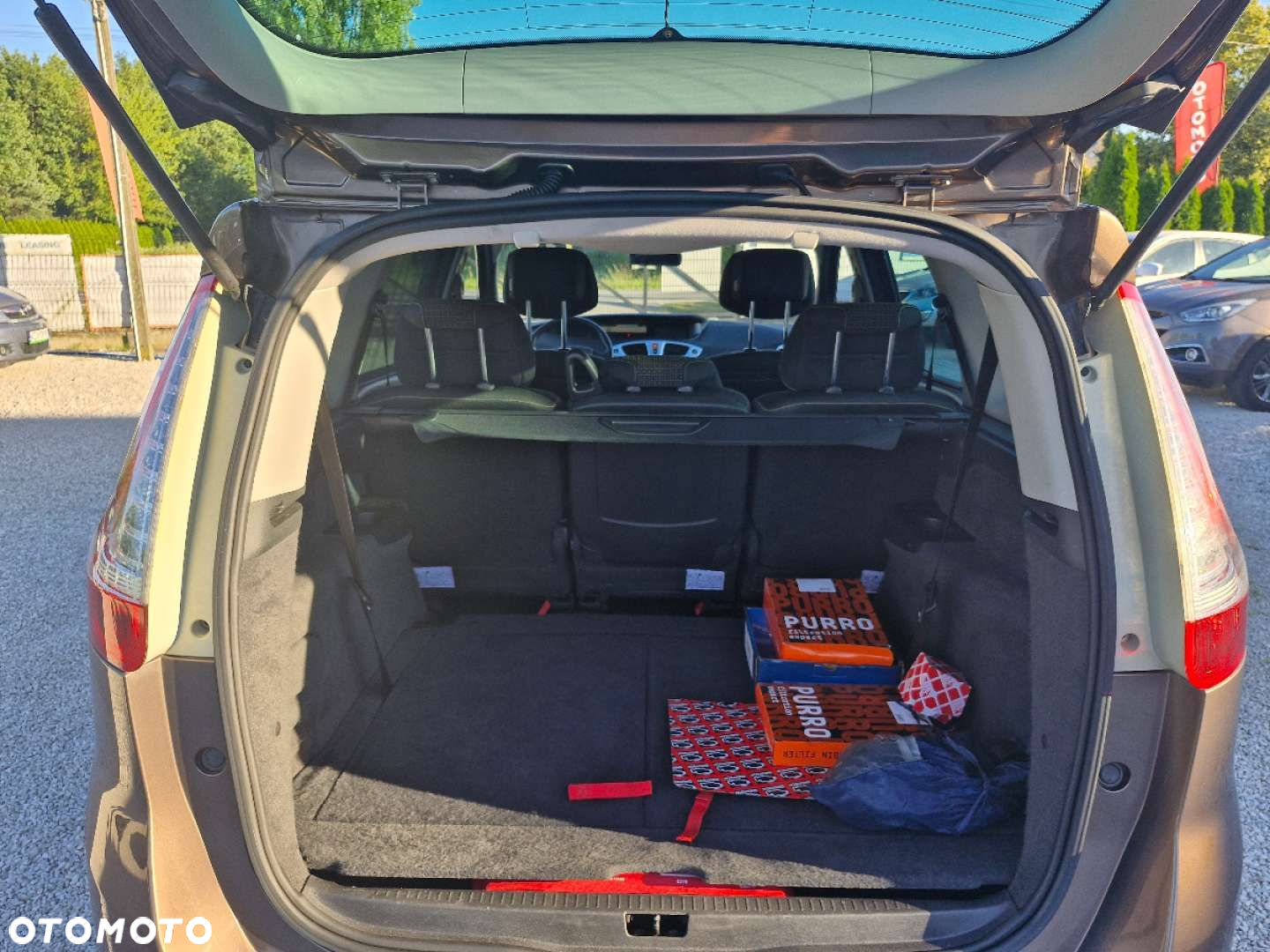 Renault Grand Scenic - 19