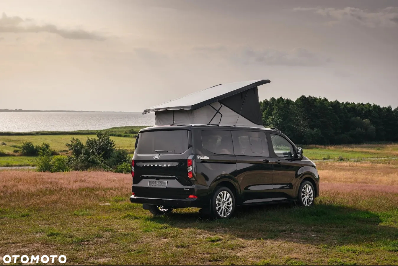 Ford Tourneo Custom 2.0 EcoBlue L1 Titanium - 2