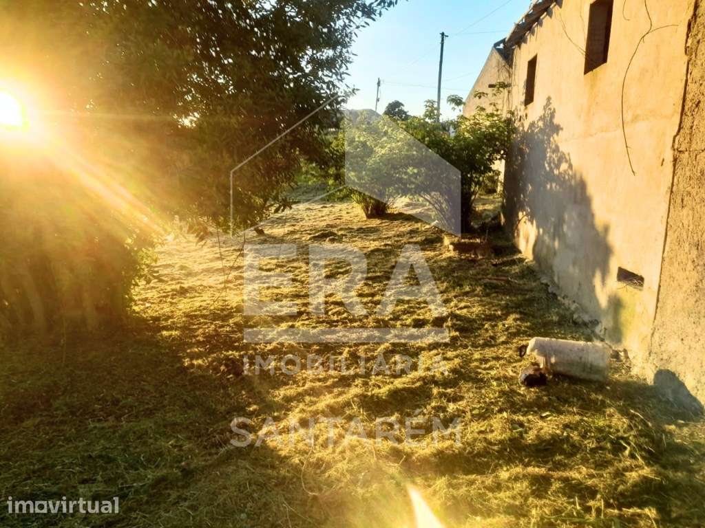 Moradia T3 para recuperar - Grande imagem: 5/12