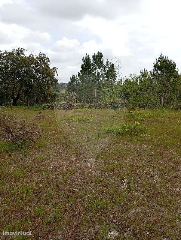 Terreno  para venda - Grande imagem: 5/6