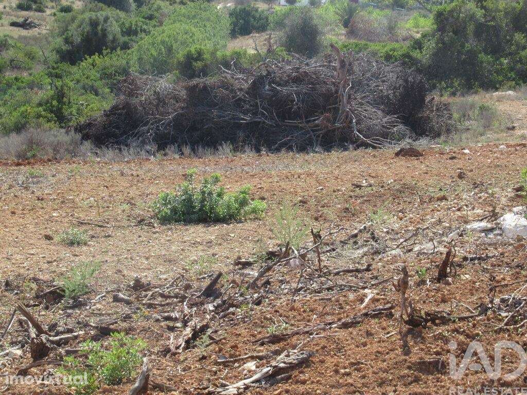 Terreno em Armação de Pêra de 51360,00 m2 - Grande imagem: 2/5