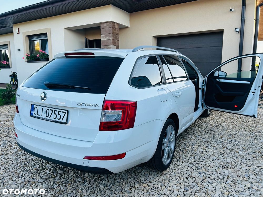 Skoda Octavia 1.6 TDI DPF DSG Elegance - 15