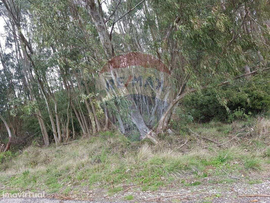 Terreno  para venda - Grande imagem: 4/6