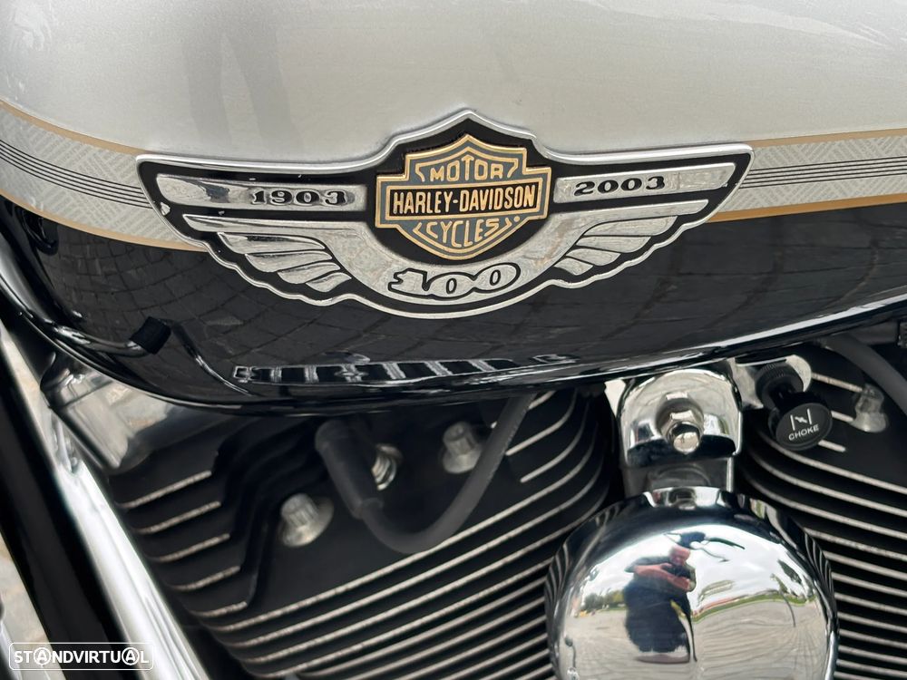 Harley-Davidson FLSTC 100th Anniversary - 6