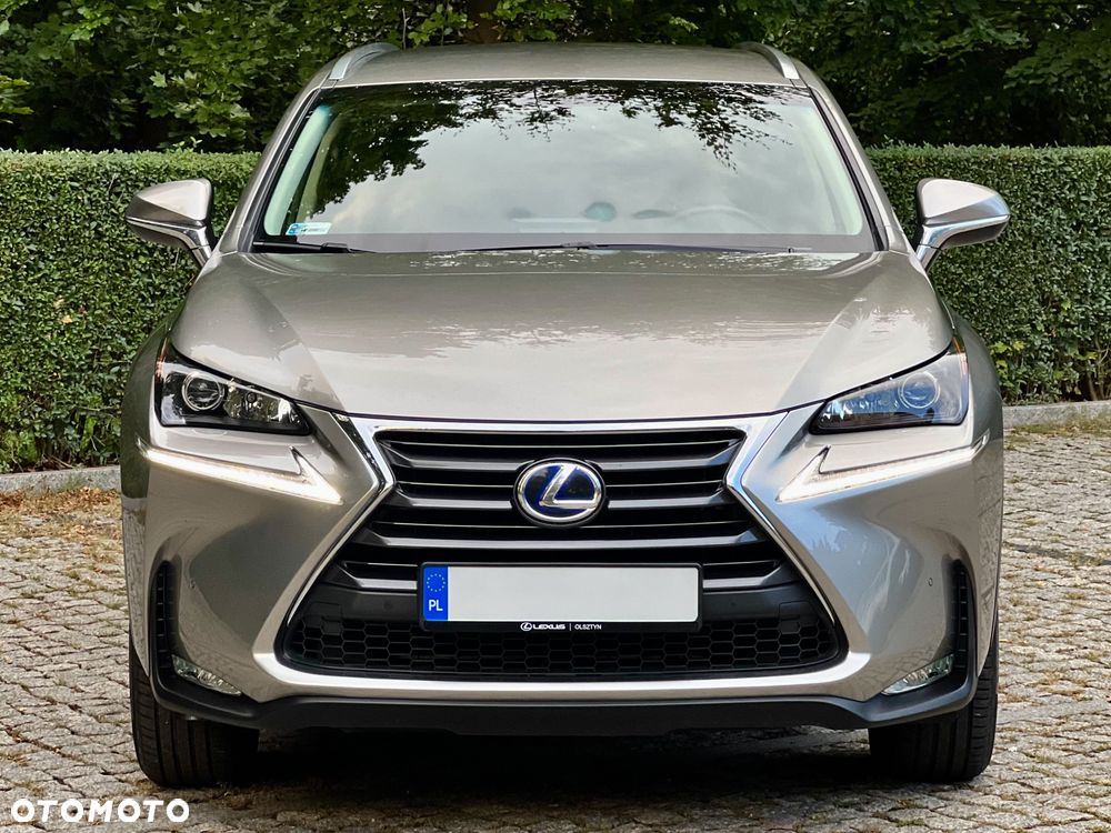 Lexus NX 300h Comfort AWD - 2