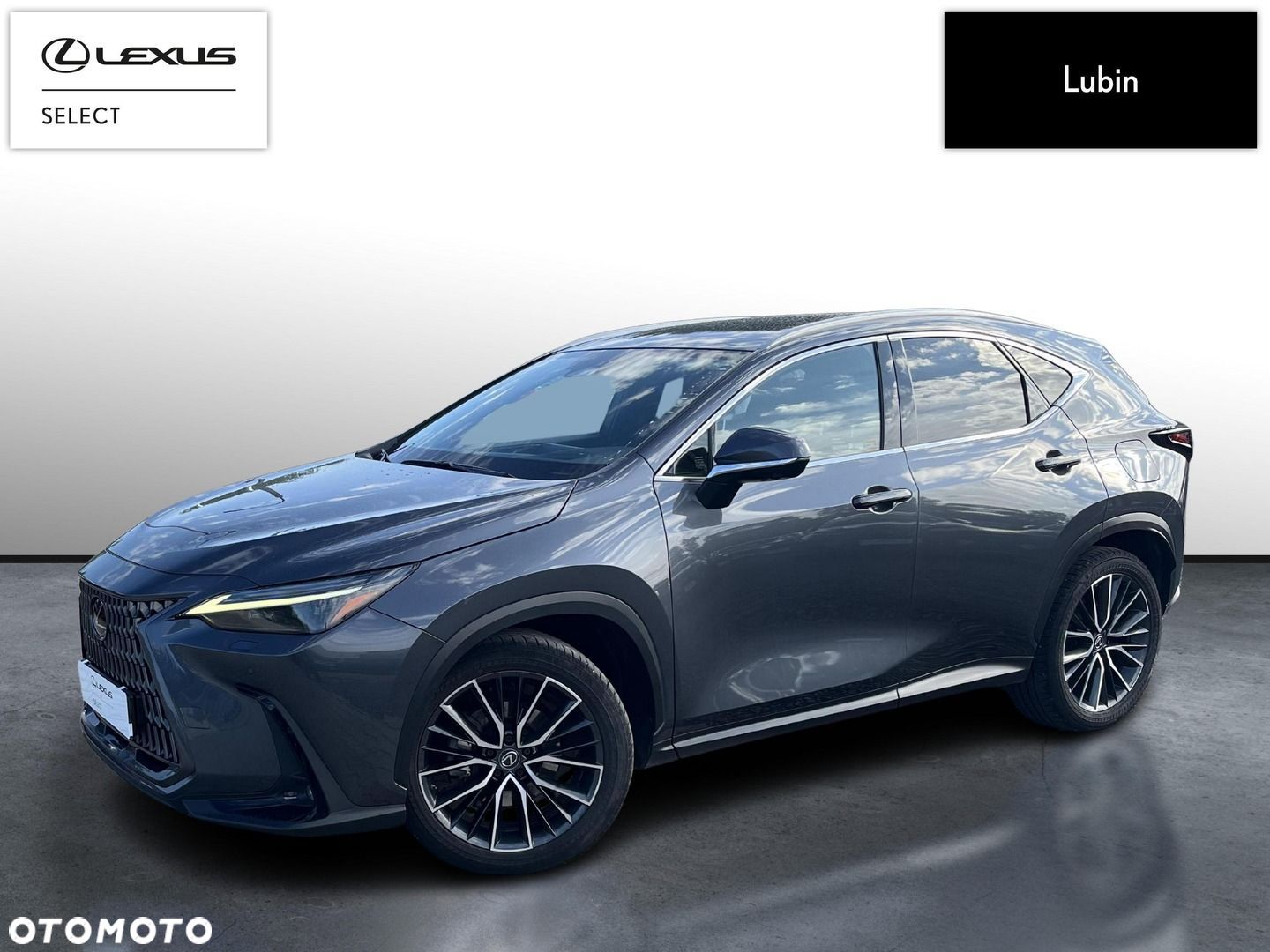 Lexus NX - 1