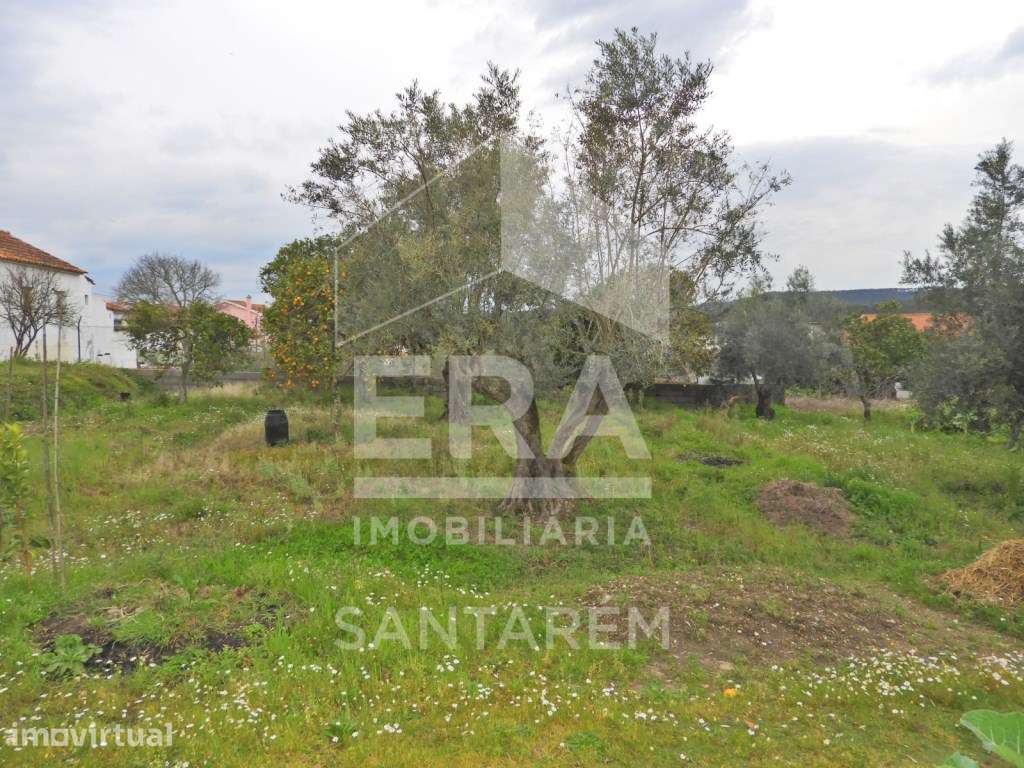Terreno para Construção - Ulme - Grande imagem: 2/8