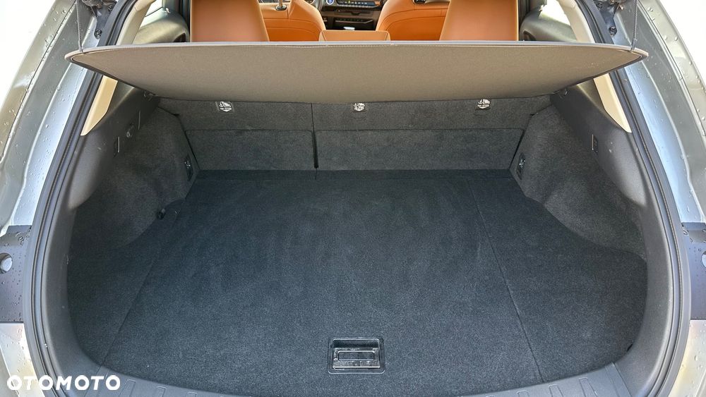 Lexus UX 250h GPF Prestige AWD - 37