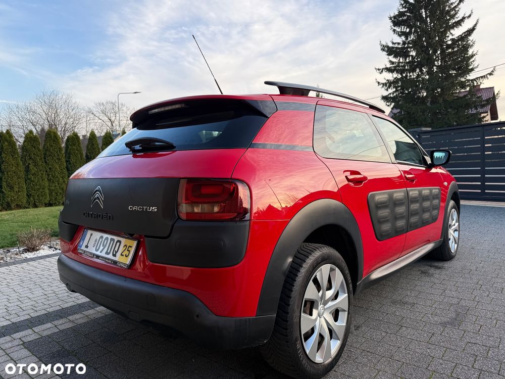 Citroën C4 Cactus PureTech 82 Shine Edition - 11