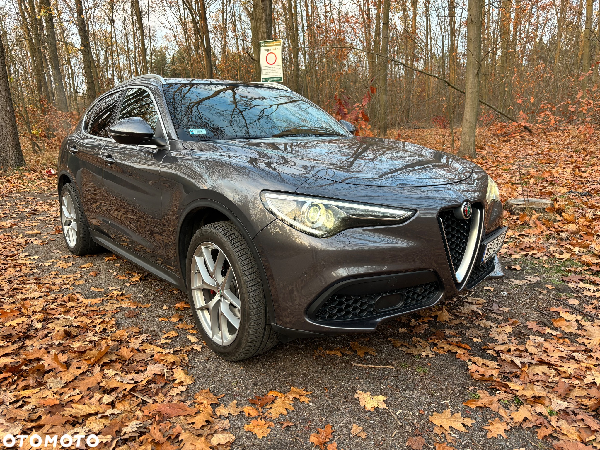 Alfa Romeo Stelvio 2.0 Turbo Super Q4 - 2